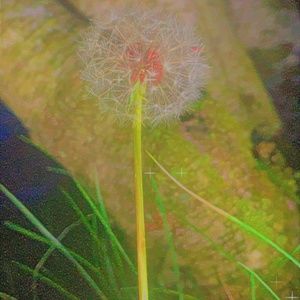 Not planning to sell